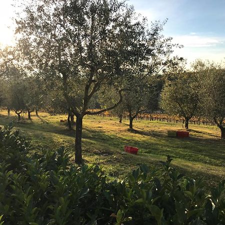 Il Villino Farmhouse Castellina in Chianti Zewnętrze zdjęcie
