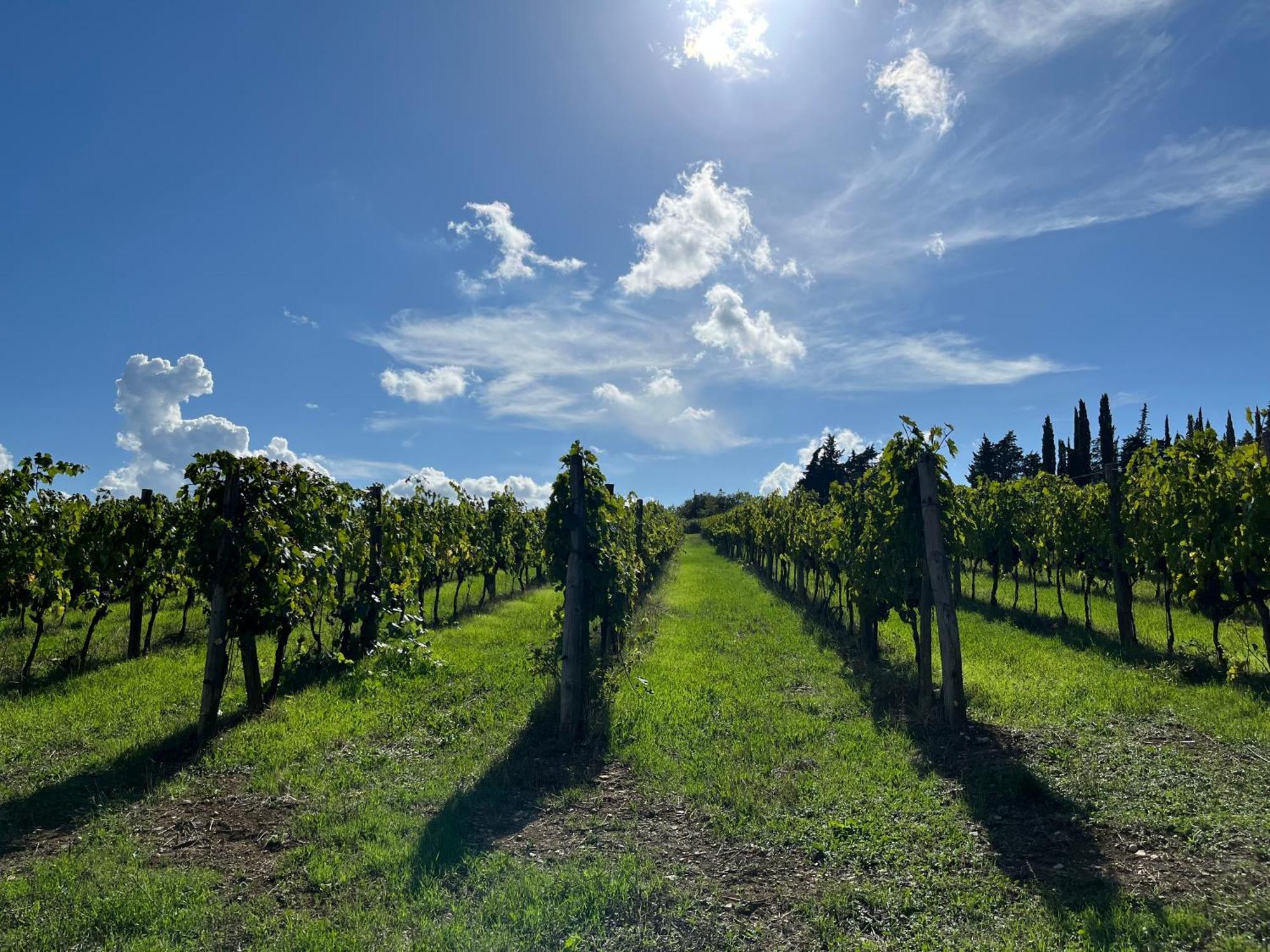 Il Villino Farmhouse Castellina in Chianti Zewnętrze zdjęcie